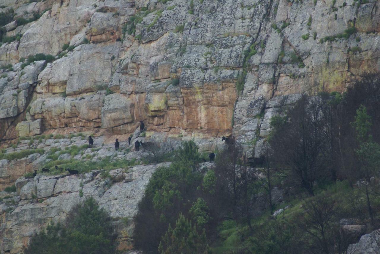Arneiro Monte Do Pego别墅 外观 照片